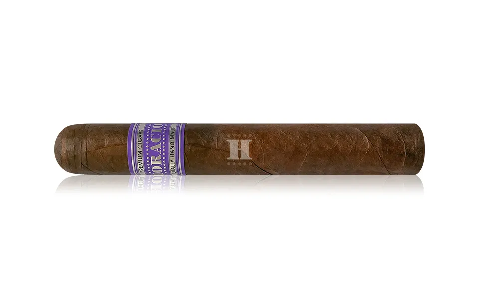 horacio-bulier-gran-reserva-h-56-zigarre-robusto image 1
