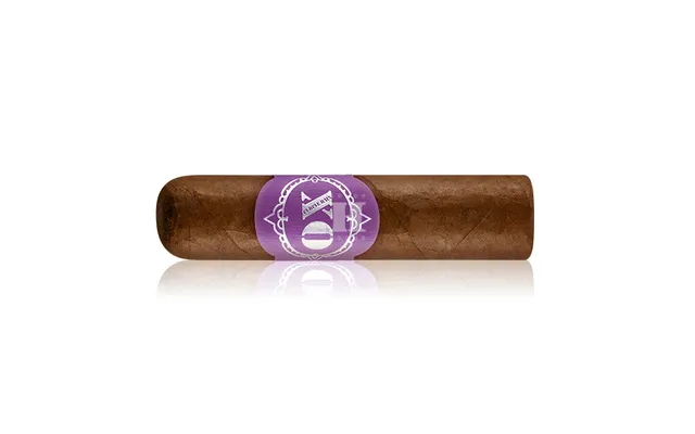 horacio-ox-purple-rain-zigarre-kr-ftig-einzelzigarre image 1
