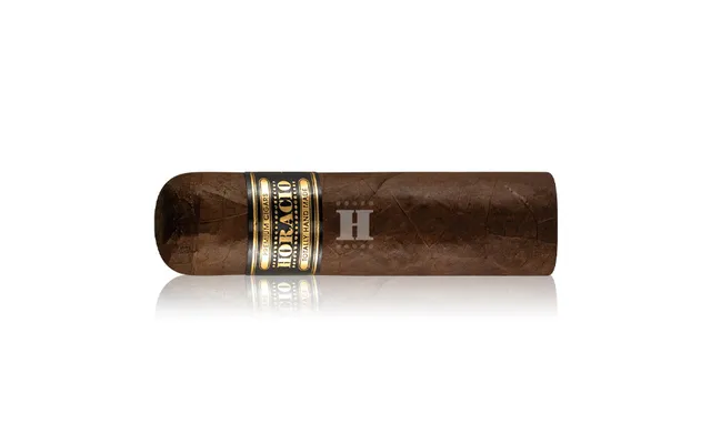 horacio-maduro-hm-vi-zigarre-10-cm-vollmundig-holz-pfeffer image 1